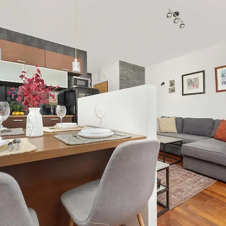 公寓 Comfortable With Parking Near Babice Airport By Renters *